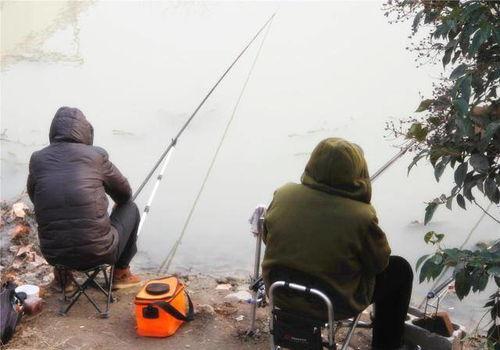 钓鱼爆料视频最新版,揭秘钓鱼技巧与陷阱